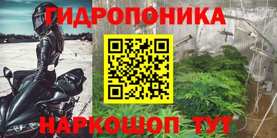 молекула духа Коммунар
