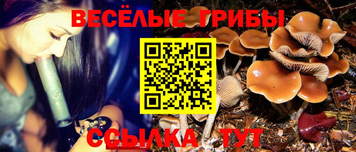 Псилоцибиновые грибы Psilocybe  Галлюциногенные грибы мухоморы  Вход с VPN  Кинель 