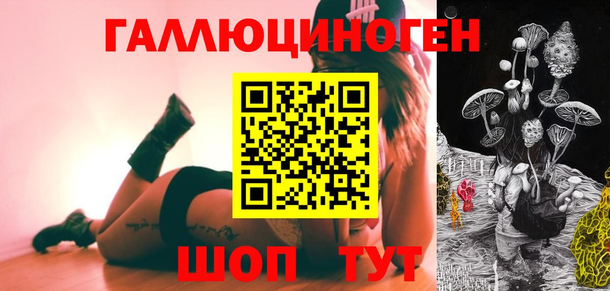 Псилоцибиновые грибы Cubensis Кинель