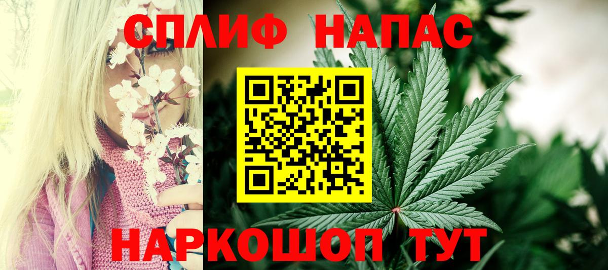 Бошки Шишки MAZAR  Марихуана семена  Конопля THC 21%  Кинель  Вход с VPN 